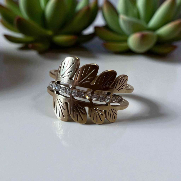 Δαχτυλίδια ατσάλινα