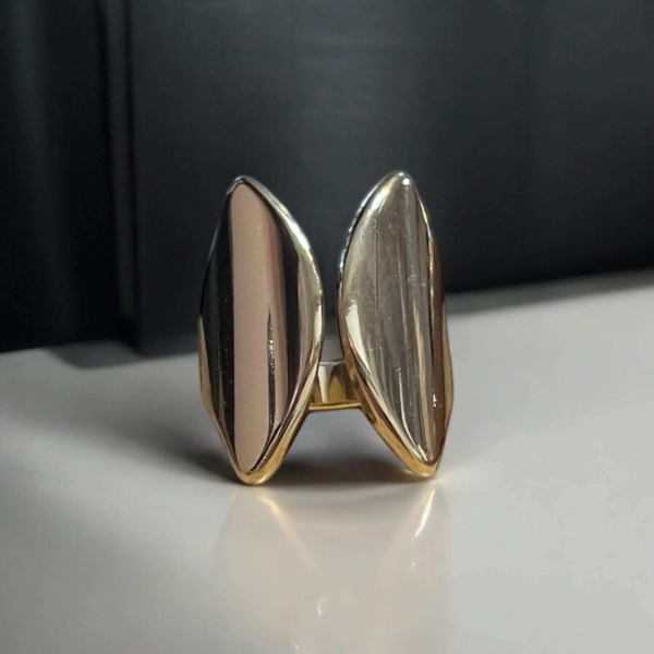 Δαχτυλίδια ατσάλινα