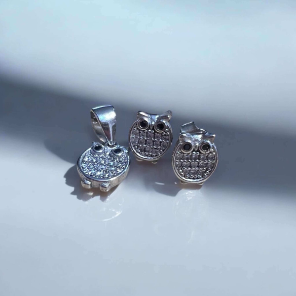 Σκουλαρίκια από ασήμι 925