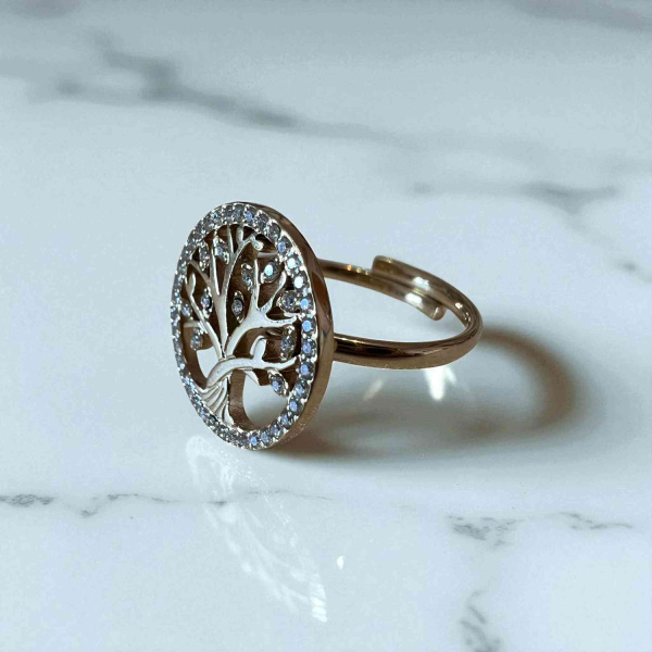 Δαχτυλίδια ατσάλινα