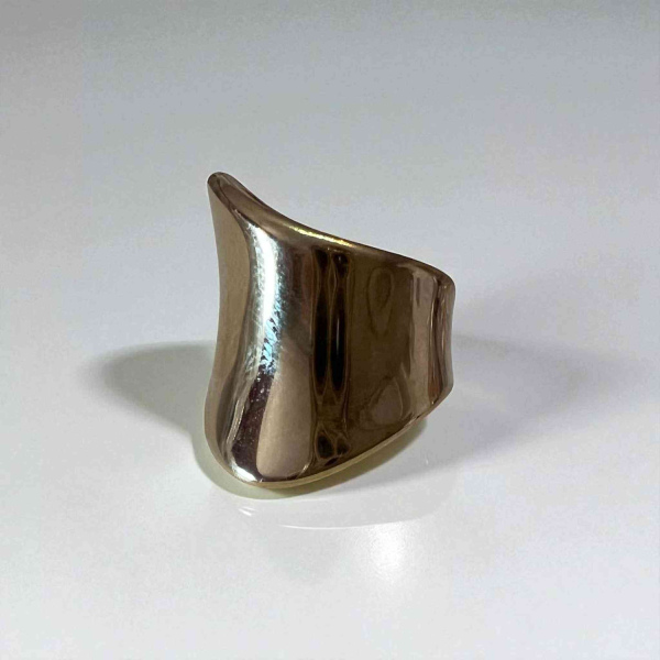 Δαχτυλίδια ατσάλινα