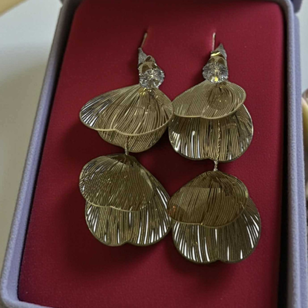 Σκουλαρίκια ατσάλινα