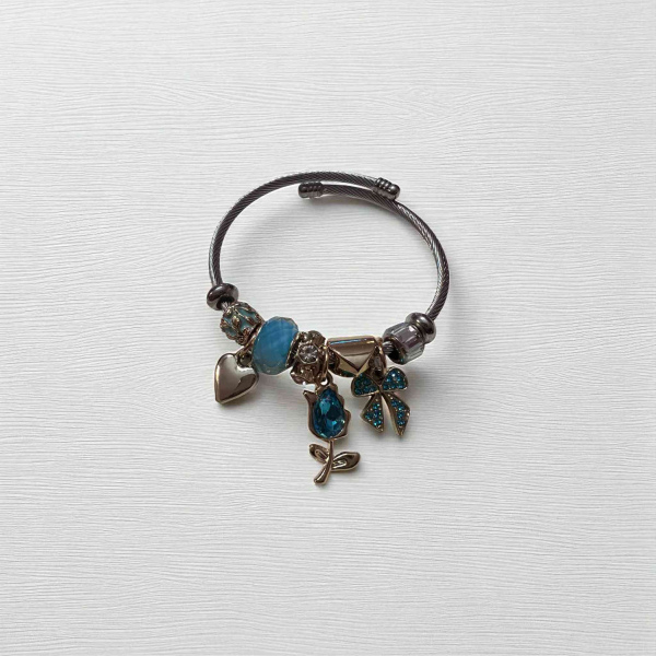 Βραχιόλια ατσάλινα