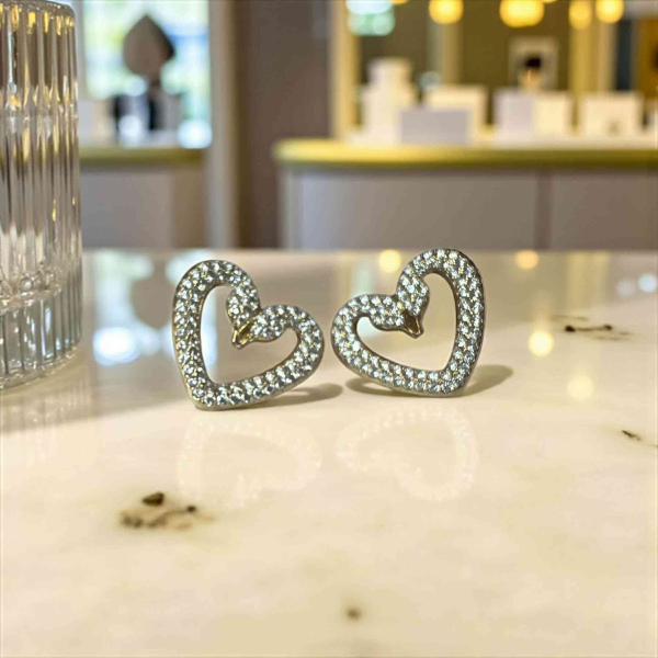 Σκουλαρίκια ατσάλινα