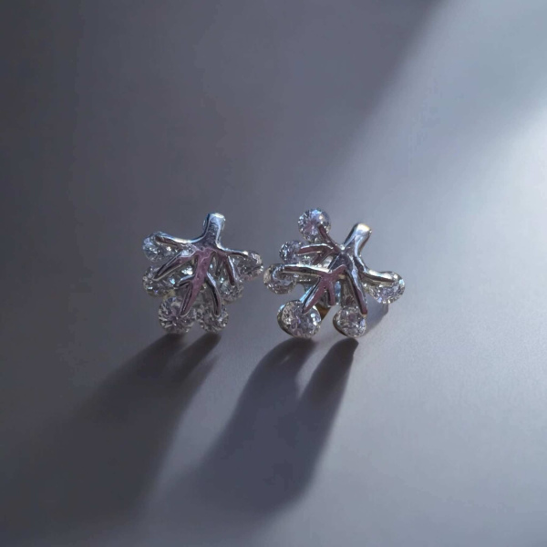 Σκουλαρίκια από ασήμι 925