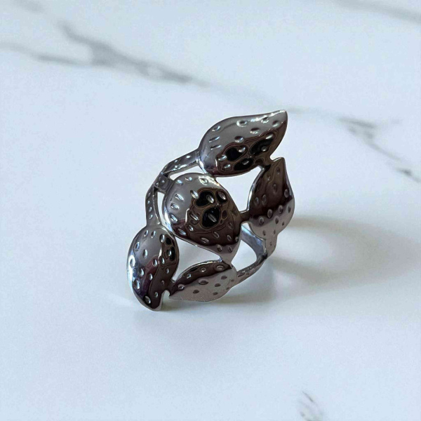 Δαχτυλίδια ατσάλινα